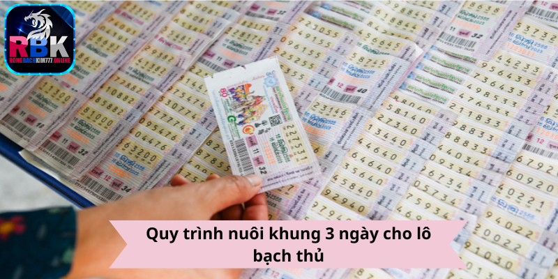 Lô Bạch Thủ Nuôi Khung 3 Ngày: Chiến Lược Đặt Cược Đỉnh Cao